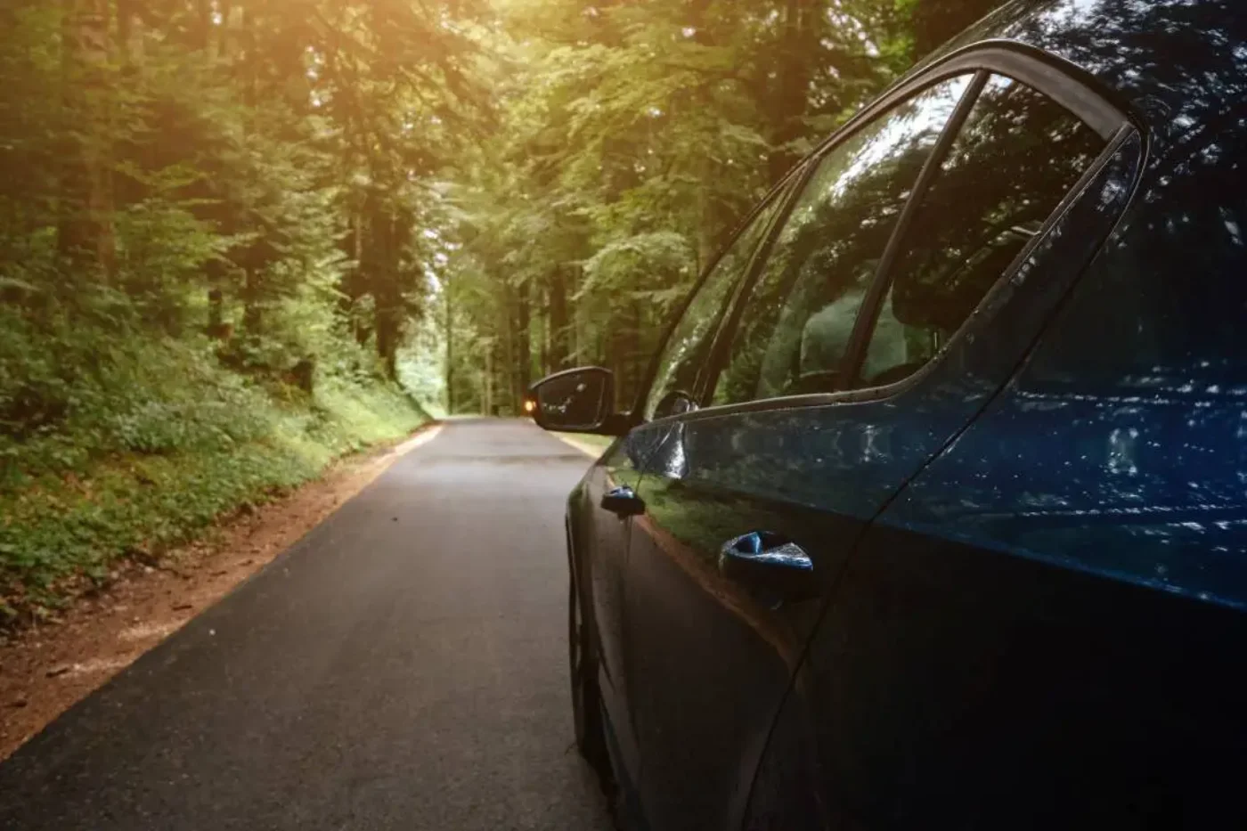 A black executive sedan on a tree-lined road